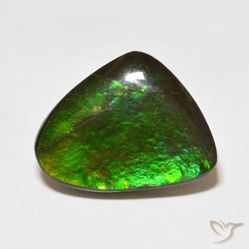 11.37ct Натуральный Многоцветный Аммолит, причудливая, Непрозрачный