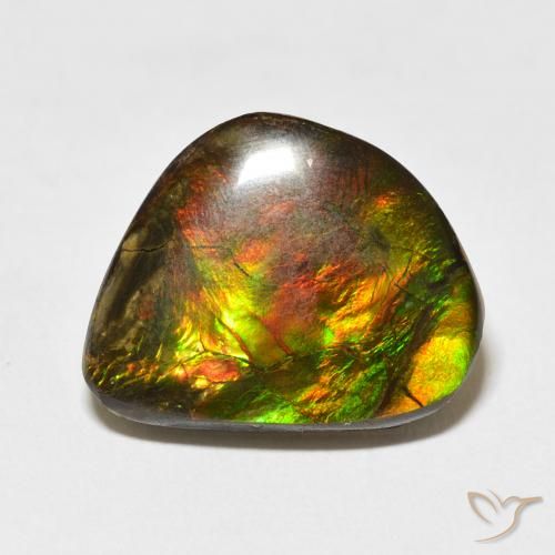 11.60ct Натуральный Многоцветный Аммолит, причудливая, Непрозрачный