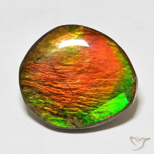 17.77ct Натуральный Многоцветный Аммолит, причудливая, Непрозрачный
