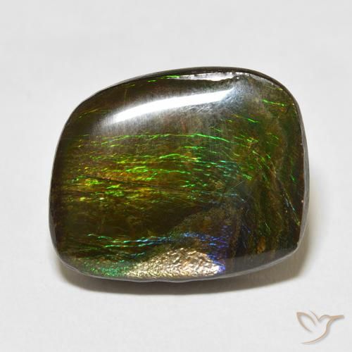 19.50ct Натуральный Многоцветный Аммолит, причудливая, Непрозрачный