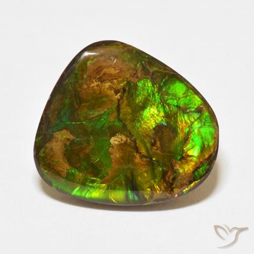 13.95ct Натуральный Многоцветный Аммолит, причудливая, Непрозрачный