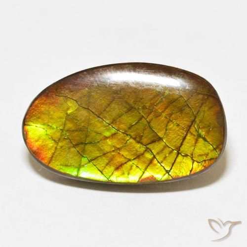 13.58ct Натуральный Многоцветный Аммолит, причудливая, Непрозрачный