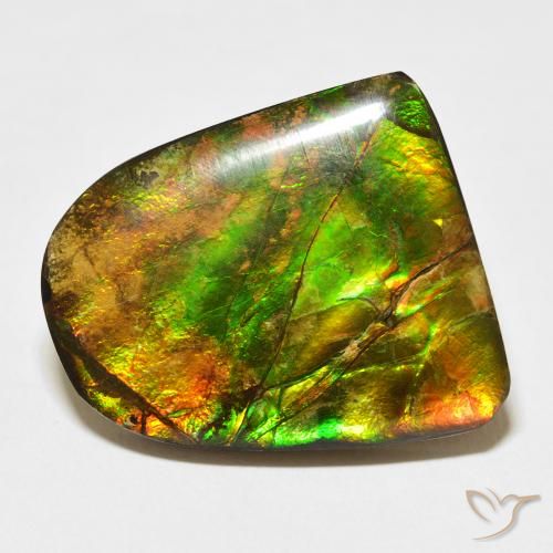 20.38ct Натуральный Многоцветный Аммолит, причудливая, Непрозрачный