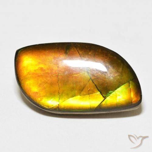 14.45ct Натуральный Многоцветный Аммолит, причудливая, Непрозрачный