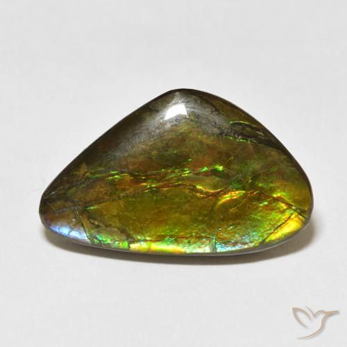13.60ct Натуральный Многоцветный Аммолит, причудливая, Непрозрачный