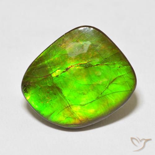 10.95ct Натуральный Многоцветный Аммолит, причудливая, Непрозрачный