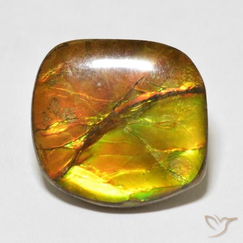 15.37ct Натуральный Многоцветный Аммолит, причудливая, Непрозрачный