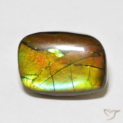13.68ct Натуральный Многоцветный Аммолит, причудливая, Непрозрачный