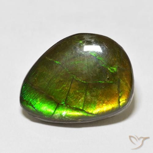 13.55ct Натуральный Многоцветный Аммолит, причудливая, Непрозрачный