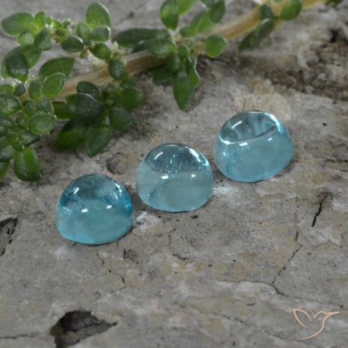1.46ctw Натуральный Deep Aqua Blue (темно-синий) Апатиты, Круглый, Прозрачный