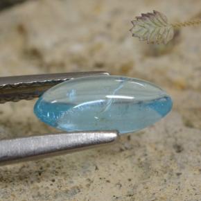 Натуральный Светло-бирюзовый Апатит 0,75 карата Маркиза, Прозрачный