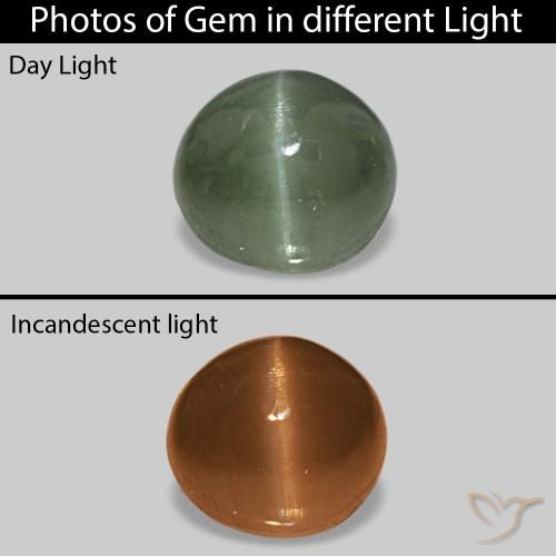 0.59 карата, натуральный Средний зеленый Cat's Eye Alexandrite, Овал, Непрозрачный