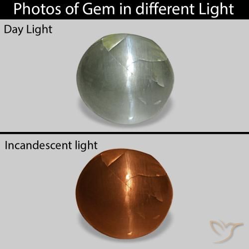 0.51 карата, натуральный Серо-зеленый Cat's Eye Alexandrite, Овал, Непрозрачный