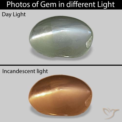 0.71ct Средний зеленый Cat's Eye Alexandrite, Овал, Непрозрачный