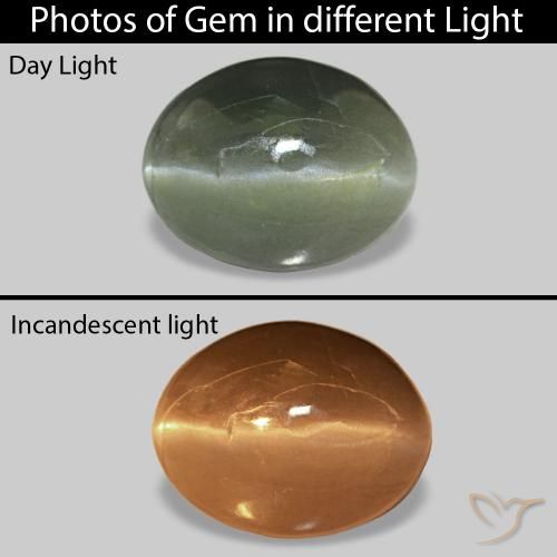 0.62 карата, натуральный Бледно-лесной зеленый Cat's Eye Alexandrite, Овал, Непрозрачный