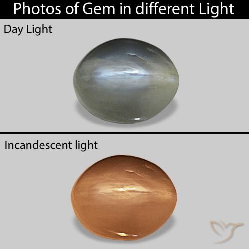 0.72ct Средний серый Cat's Eye Alexandrite, Овал, Непрозрачный