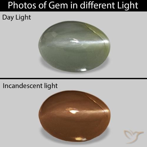 0.56ct Средний зеленый Cat's Eye Alexandrite, Овал, Непрозрачный