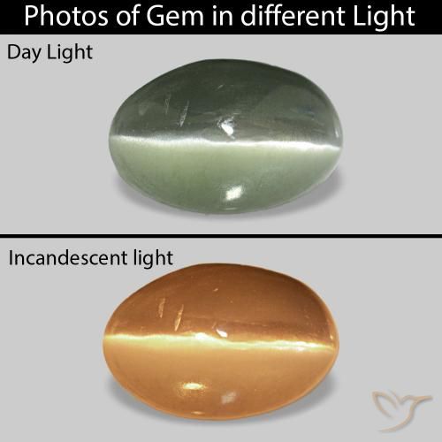 0.73ct Серо-зеленый Cat's Eye Alexandrite, Овал, Непрозрачный