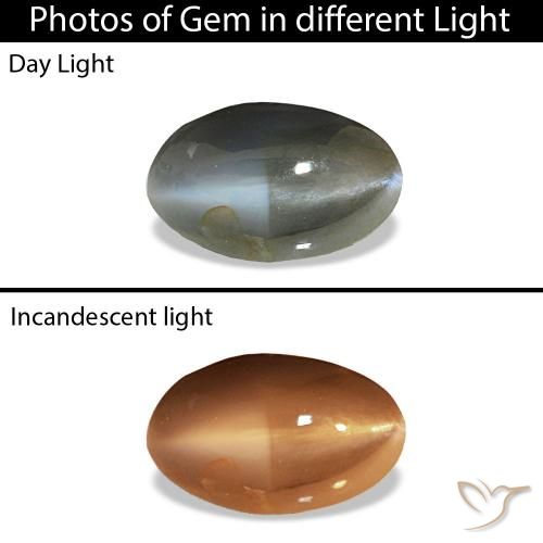 0.51ct Бледно-зеленовато-серый Cat's Eye Alexandrite, Овал, Непрозрачный