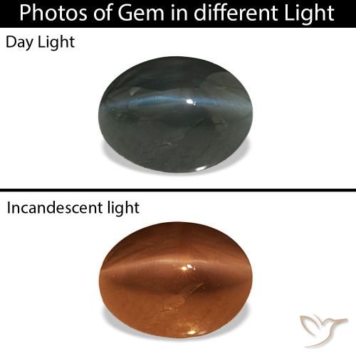 0.96ct Стальной Серый Cat's Eye Alexandrite, Овал, Непрозрачный
