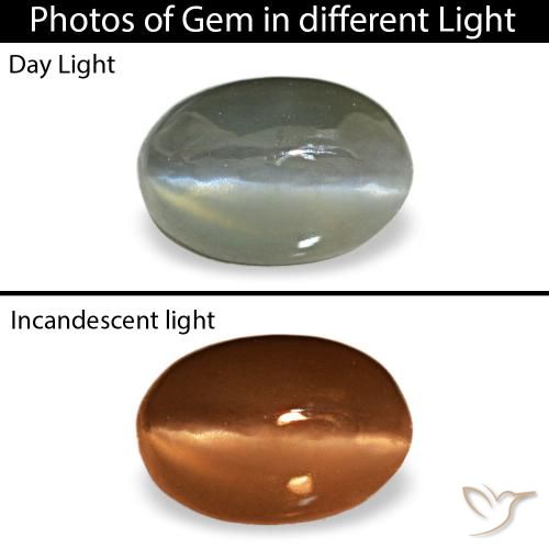 Натуральный серый cat's eye alexandrite 0,50 карата огранка овал, непрозрачный