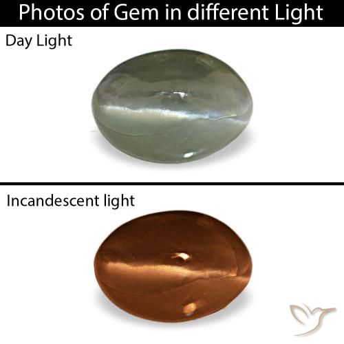 Натуральный серый cat's eye alexandrite 0,49 карата огранка овал, непрозрачный
