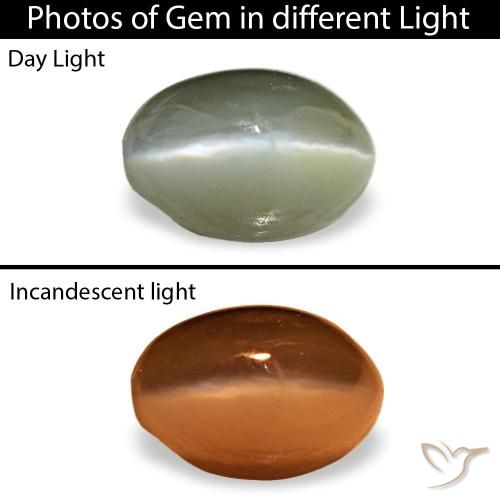 Зелёный cat's eye alexandrite 0,59 карата, овал, чистота непрозрачный