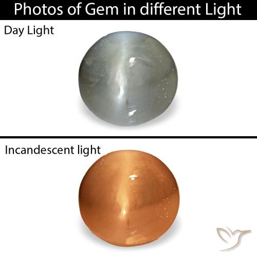 Натуральный серый cat's eye alexandrite 0,51 карата огранка овал, непрозрачный