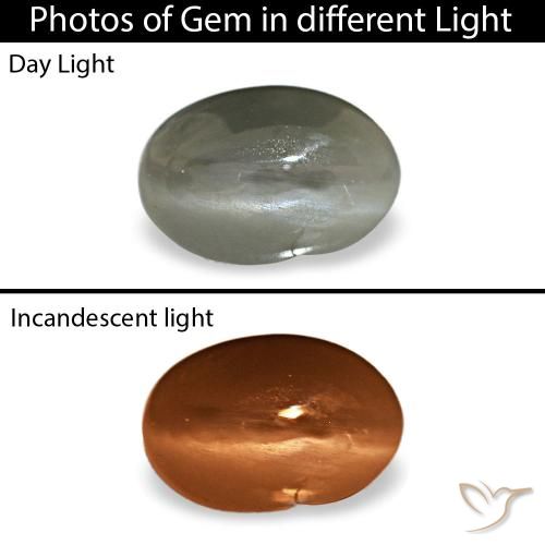 Натуральный серый cat's eye alexandrite 0,35 карата огранка овал, непрозрачный