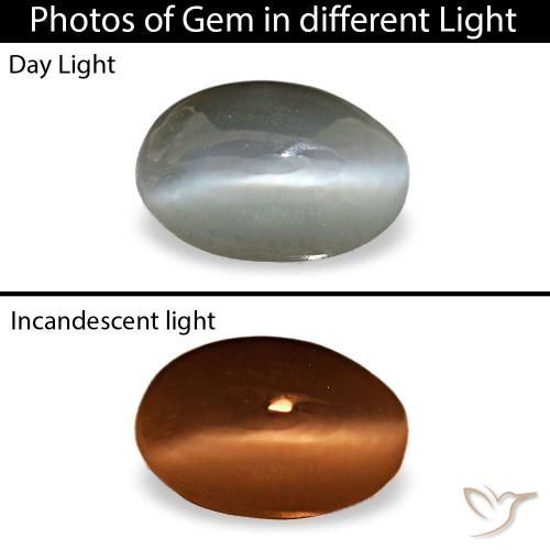 Серый cat's eye alexandrite 0,33 карата, овал, чистота непрозрачный