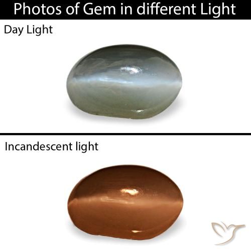 Серый cat's eye alexandrite 0,40 карата, овал, чистота непрозрачный