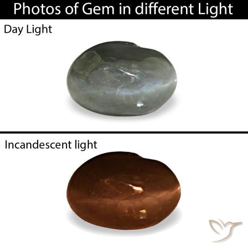 Серый cat's eye alexandrite 0,41 карата, овал, чистота непрозрачный