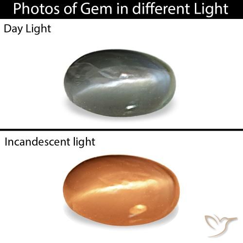 Серый cat's eye alexandrite 0,43 карата, овал, чистота непрозрачный