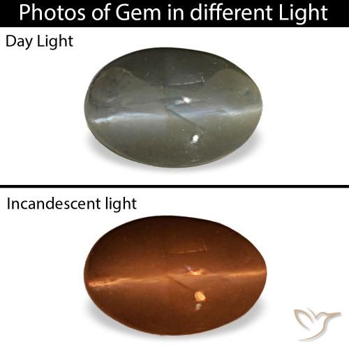 Натуральный серый cat's eye alexandrite 0,47 карата огранка овал, непрозрачный