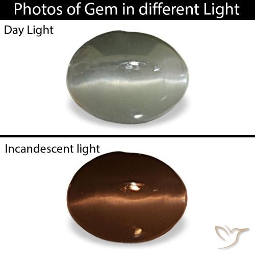 Серый cat's eye alexandrite 1,03 карата, овал, чистота непрозрачный