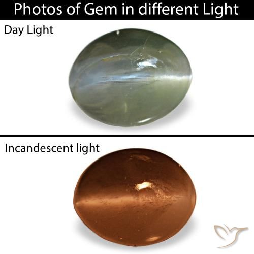Серый cat's eye alexandrite 0,64 карата, овал, чистота непрозрачный