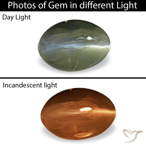 Зелёный cat's eye alexandrite 0,38 карата, овал, чистота непрозрачный