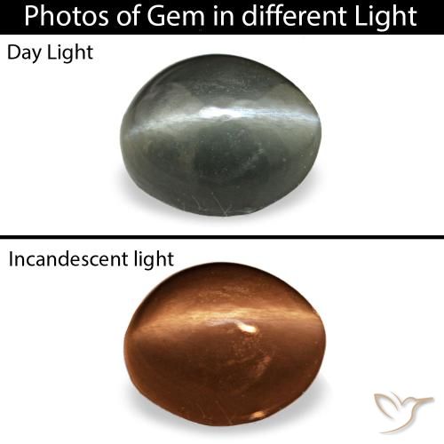 Серый cat's eye alexandrite 0,34 карата, овал, чистота непрозрачный