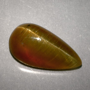 2.89 карата, натуральный Медовый Апатит Кошачий Глаз, Форма груши, Полупрозрачный