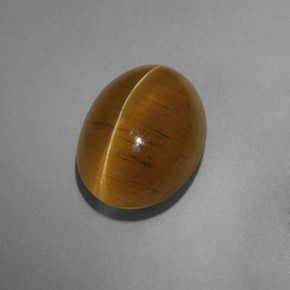 Натуральный жёлтый cat's eye apatite 9,54 карата прозрачный, полупрозрачный