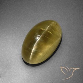 12.95ct Натуральный Землисто-желтый Апатит Кошачий Глаз, Овал, Полупрозрачный