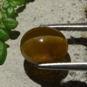 3.16 карата, натуральный Оранжевый Апатит Кошачий Глаз, Огранка Овал, Полупрозрачный