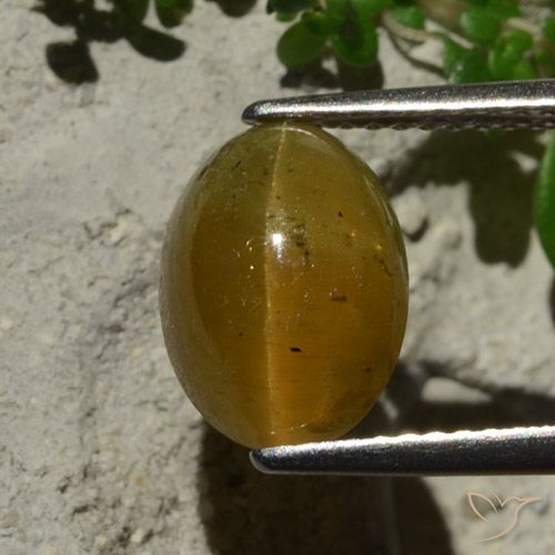 3.64ct Натуральный Светло-коричневый Апатит Кошачий Глаз, Овал, Полупрозрачный