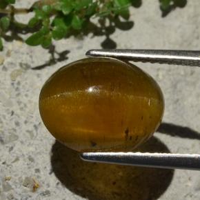 5.80 карата, натуральный Коричневый Апатит Кошачий Глаз, Огранка Овал, Полупрозрачный