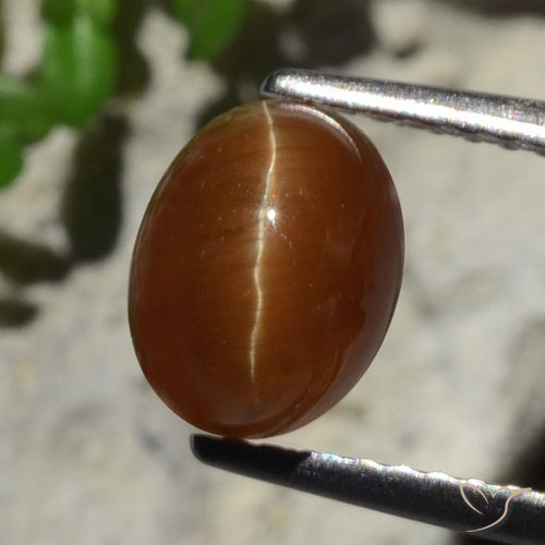 Натуральный коричневый cat's eye apatite 2,05 карата огранка овал, полупрозрачный