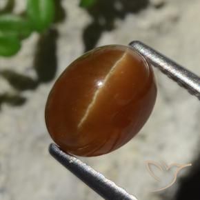 Натуральный коричневый cat's eye apatite 2,05 карата огранка овал, полупрозрачный