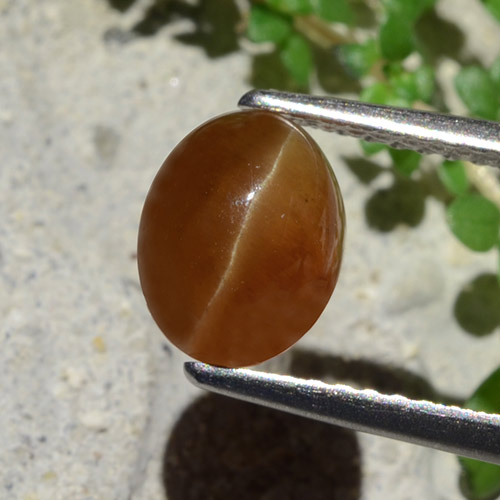 Натуральный коричневый cat's eye apatite 1,91 карата огранка овал, полупрозрачный
