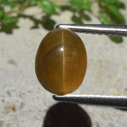 2.89ct Натуральный Карамельный коричневый Апатит Кошачий Глаз, Овал, Полупрозрачный