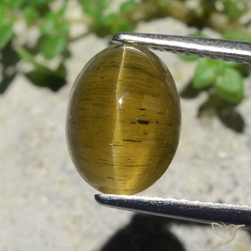 3.38ct Натуральный Землисто-желтый Апатит Кошачий Глаз, Овал, Полупрозрачный