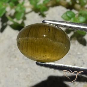 3.38 карата, натуральный Землисто-желтый Апатит Кошачий Глаз, Огранка Овал, Полупрозрачный